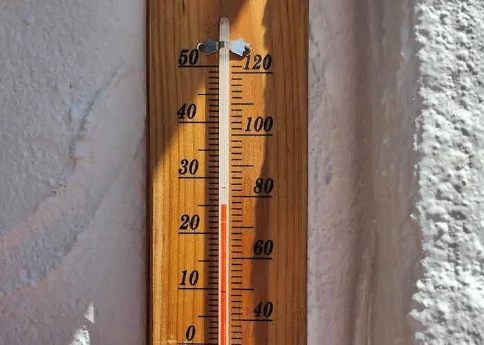 Agnes 拉曼加戴尔马尔梅纳